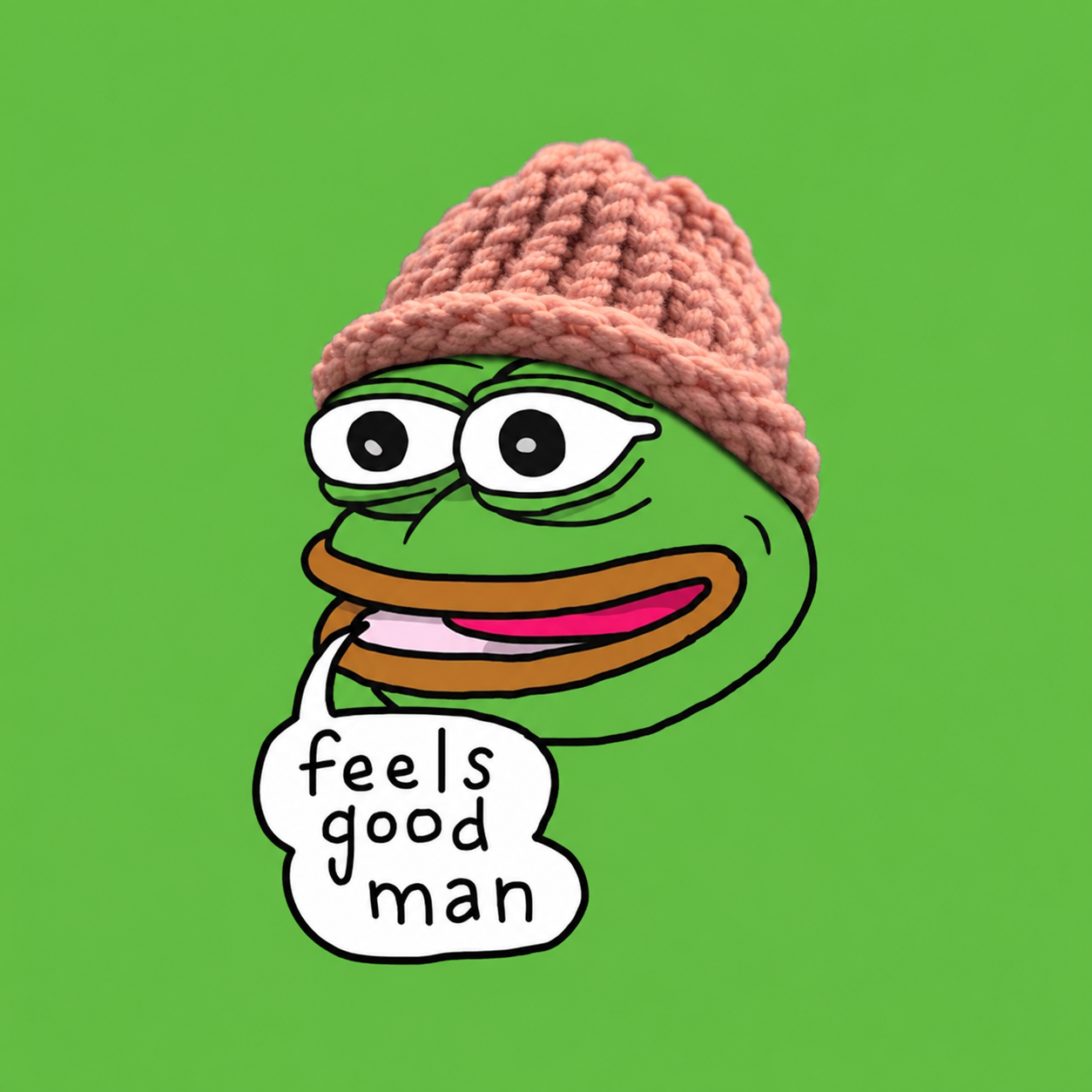 Green frog wearing a pink knitted hat and saying feels good man